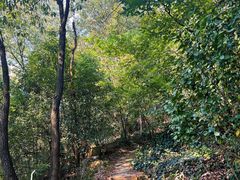 -宝岩生态观光园