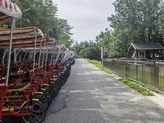 -永定河休闲森林公园