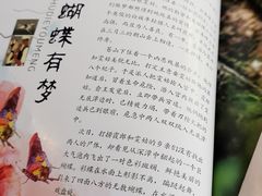 -蝴蝶泉宾馆-中餐厅