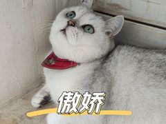 -小时光咖啡馆(北锣鼓巷店)