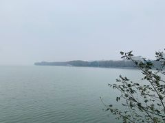 -放鹰台遗址