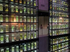 -广东中医药博物馆