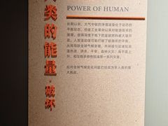 -四川大学博物馆