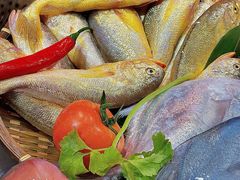 -吴记富苑(朝阳店)