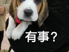 -舒适堡健身(爱琴海店)