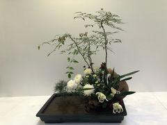 -共青国家森林公园-售票处