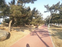 -威海国际海水浴场旅游区