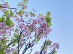 -成都市文化公园
