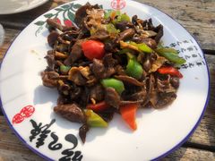 肉炒野山菌-韵之源农家菜(北京1店)