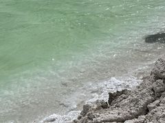 -盐湖景区
