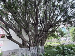 -厦门大学(思明校区)