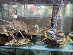 -寻味顺德·南记酒家·传统顺德菜·鱼生(广源路店)
