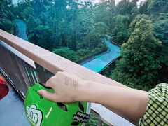 -圣淘沙天际线斜坡滑车