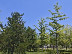 -哼蟹二将·烤肉酱蟹(合生汇店)