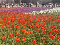 -苏州上方山国家森林公园