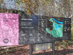 -墨尔本皇家植物园