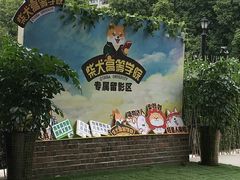 -柴犬高等学院·狗咖·柴犬售卖·宠物训练