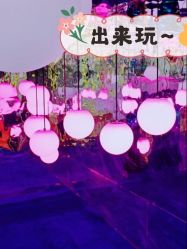 -萌兔星空蹦床撸兔馆
