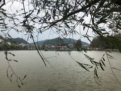 -黄贤森林公园