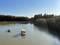 -上海海湾国家森林公园