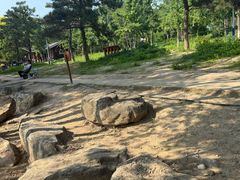 -绿堤公园