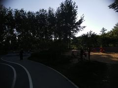 -仁和公园(顺义区)