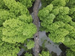 -桤木河湿地公园