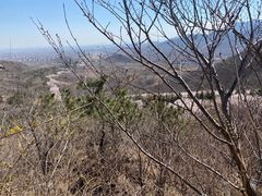 -樱花山风景区