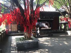 -丰都鬼城名山景区
