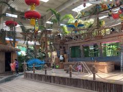 -南宫五洲植物乐园