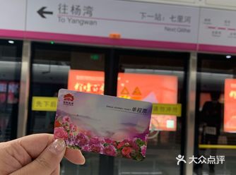 最美地铁票，全是牡丹花