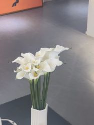 -春田皮肤管理中心品牌旗舰店