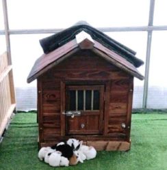 -萌宠亲子动物乐园(槐房万达店)