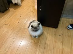 -剧狐剧本杀·月球探案馆(人民广场1号店)