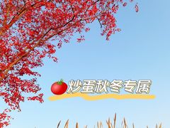 -良渚古城遗址公园