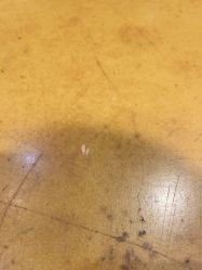 -Harry's Kitchen哈里小屋(上海大悦城店)