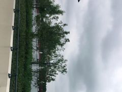 -迪士尼乐园停车场