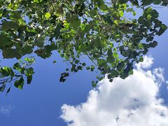 -仙居谷风景区