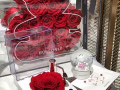 -ROSEONLY诺誓(磐基中心店)