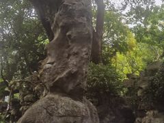 -绮园景区
