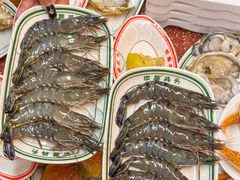 -四囍码头海鲜烧烤自助火锅(外滩南京东路悦荟广场店)