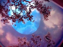 -扬州科技馆