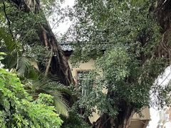 -龙川佗城