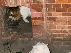 -复旦大学附属华山医院(总院)