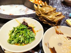 -蜀大侠火锅(森兰花园城店)
