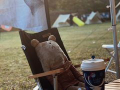 -南宁良凤江国家森林公园