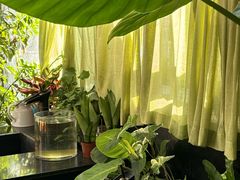 -北马山庄植趣咖啡