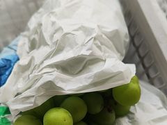 -马陆小张葡萄园农家乐