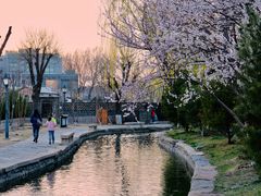 -三里河公园