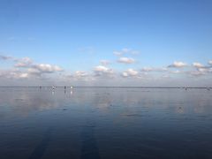 -南汇嘴观海公园